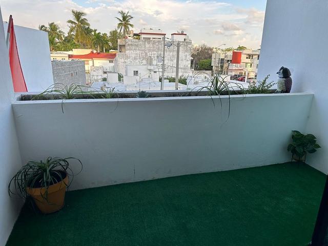 Foto de la galeria de imagenes