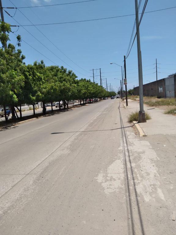Foto de la galeria de imagenes