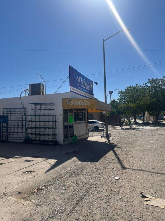 Foto de la galeria de imagenes