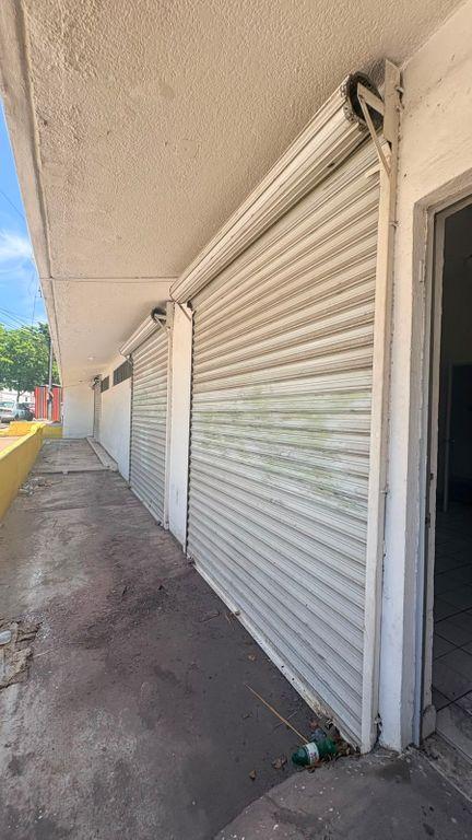 Foto de la galeria de imagenes