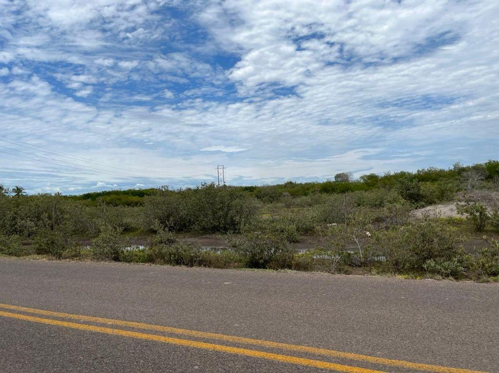 Foto de la galeria de imagenes