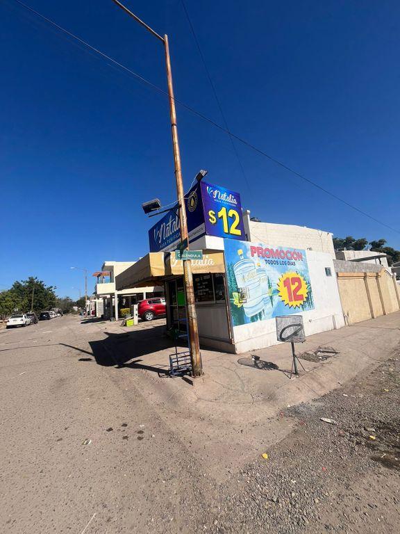 Foto de la galeria de imagenes